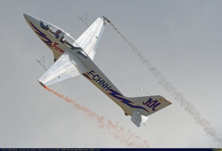 planeur MDM-1 Fox