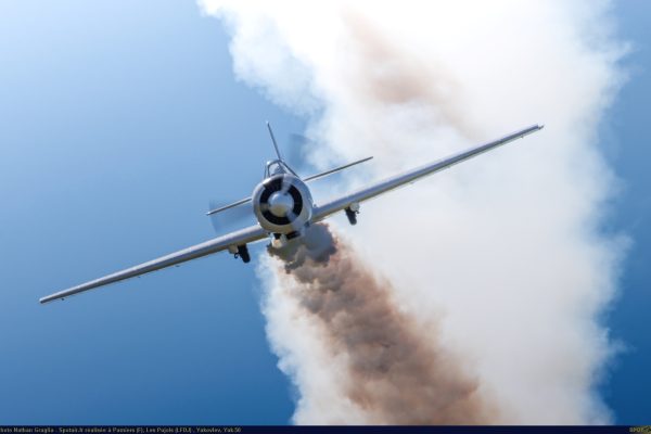 Photo Yak 50