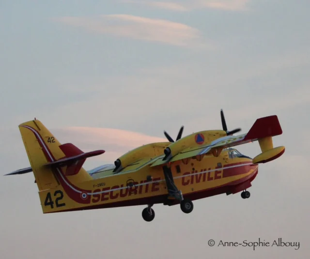 ✈️ MERCI A NOS NOUVEAUX SUPER FANS ✈️

🗓️ Il reste une semaine pour tenter de gagner des places pour le 2e meeting aérien à l'Aéroport Sud de France Carcassonne (@aeroport_carcassonne) le 26 et 27 septembre 2026.

👍 C'est simple : likez, partagez et commentez notre post spécifique de samedi. 

✅️ Et vérifiez que vous êtes abonné à notre page @assodesetoilesetdesailes. Ce jeu est réservé à nos followers, actuels ou à venir ! 

📢 Vous aurez ainsi des infos exclusives et d'autres offres sur le prochain meeting.

🥇Mention spéciale à nos nouveaux super fans ! 💎 
@sofiagraphie 
@mamsphotography_ 
@garsine_s 
@takeiteasydu31 
@dominique.para 
@baptistedrx 
@chezdamepaulette 
@nathan_grc11 
@skychaser.evann 
@ktykty 
@francky_49 
@mehmet_sadi_ilarslan
@lailamams
@cockpit.3d.design
@planes_by_fynn
@ips_olaire

💫 Ainsi qu'à nos nouveaux fans qui nous ont rejoint lors du festival et nos fidèles followers !!

#meetingaerien #carcassonne #jeuconcours🎁